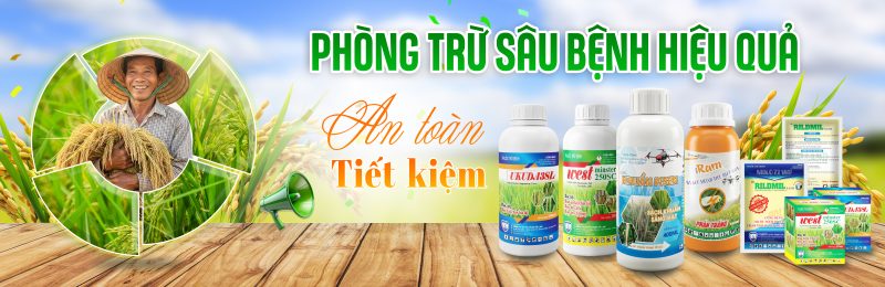 Giới thiệu Công ty CP KT Hà Lan